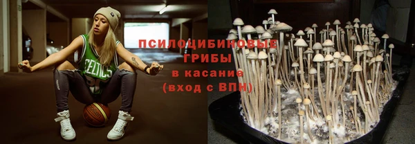2c-b Ладушкин