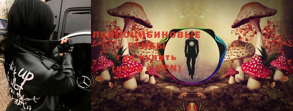 ALPHA PVP Лабытнанги