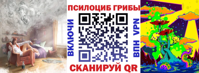 Галлюциногенные грибы Psilocybe  Куйбышев 