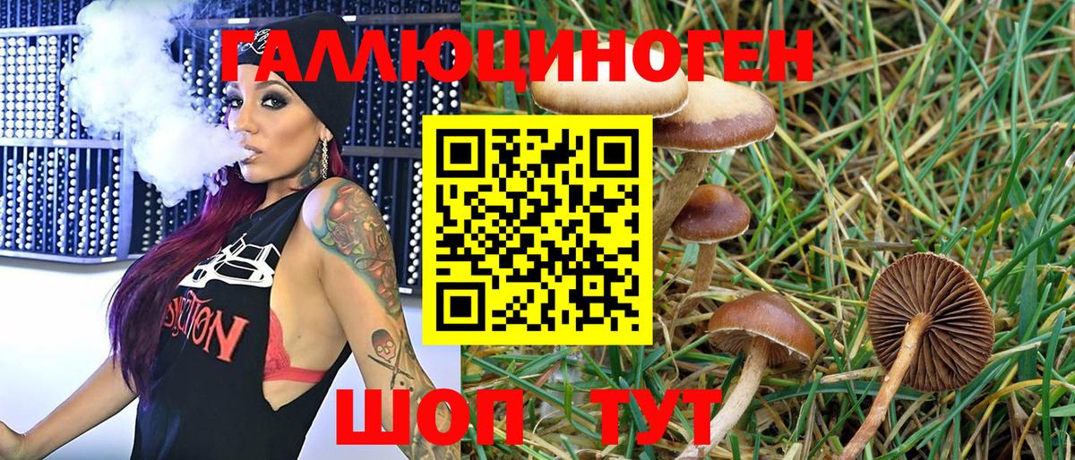 Галлюциногенные грибы мицелий Куйбышев
