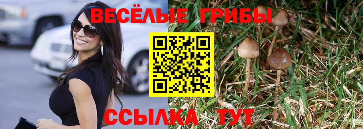 Галлюциногенные грибы прущие грибы  Вход с VPN  Куйбышев  Галлюциногенные грибы MAGIC MUSHROOMS 